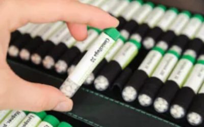 Winter health and homeopathy