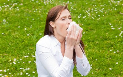 Homeopathy for Hayfever